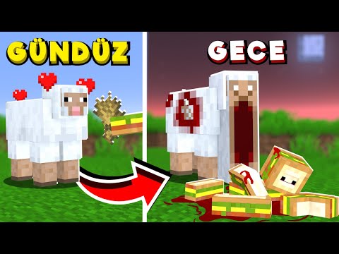 HER GECE MİNECRAFT LANETLENİYOR!