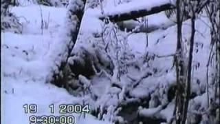 preview picture of video 'ILISUA (iarna 2002-2004)'