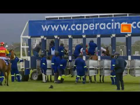 SEEKING THE STARS - World Sports Betting Club Prive Green Point Stakes