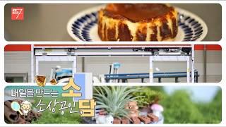 내일을 만드는 소상공인 / 강원매거진7 / [소담] / G1방송 / 261016