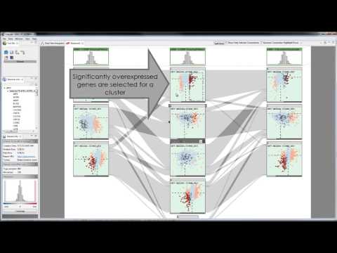 Characterizing Cancer Subtypes using the Dual Analysis Approach in Caleydo StratomeX