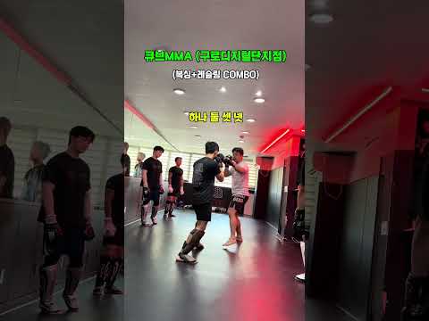 실전 복싱+레슬링 COMBO
