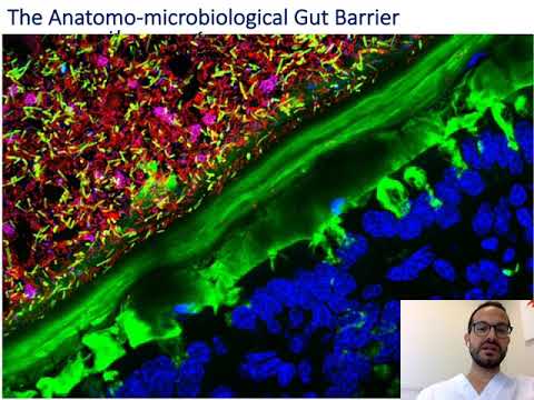 Congresso  - Asse Intestino-Occhio