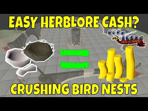 Birds Nest Osrs
