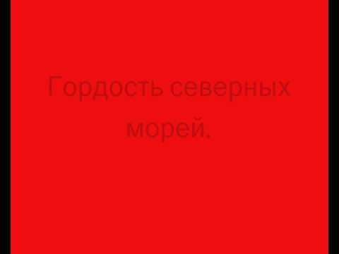 download lagu mp3 mp4 Hunt For The Red October Lyrics, download lagu Hunt For The Red October Lyrics gratis, unduh video klip Hunt For The Red October Lyrics