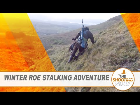 The Shooting Show - Stalking winter roe doe, roost shooting and thinning out rats on the farm