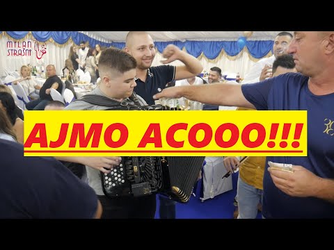 AJMO ACO OPLETI CEO LAZAREVAC ZAVRTI / Lavovi / Aca Antic / Milos Markas / Milan Strasni