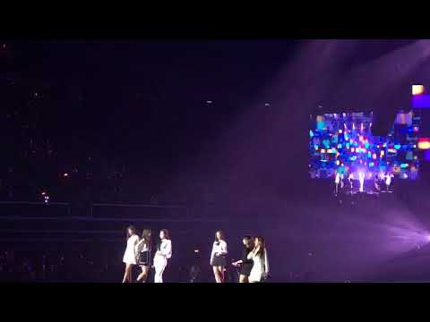 180907 Hallyupopfest 2018 in singapore APINK _ LUV