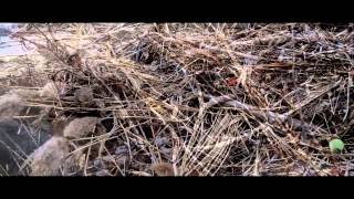 Nature Short Film: Lake Michigan in December