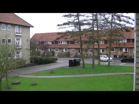 MongoTV_334 - Godmorgen - Del 6 - Fede Mongo John Vågnet - Han Vil Have Kaffe Røg Kvinder Og Varme