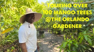 “The Orlando Gardener” an Incredible mango garden tour !