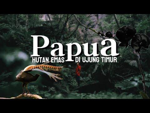 PAPUA FOREST: A Paradise for Exotic Golden Birds and Other Flora and Fauna.