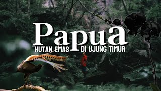 Download lagu PAPUA FOREST: A Paradise for Exotic Golden Birds and Other Flora and Fauna. mp3