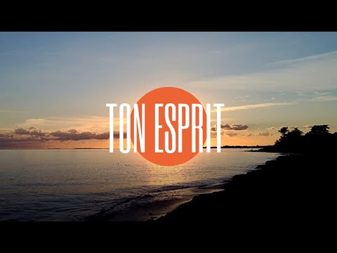 Evangelize - Ton Esprit