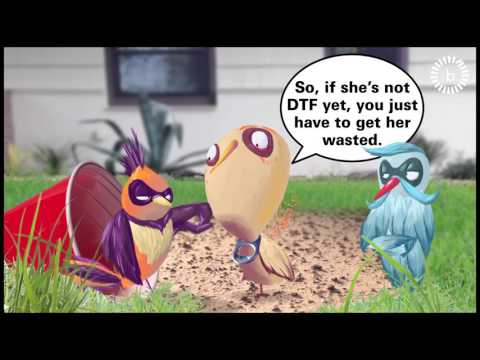 Be That Guy: Mating Calls of The Male American Beerfinch