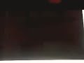 102 Dalmatians 2000 Trailer VHS Capture Retro VHS Trailers Today Is 08 29 2018 YouTube