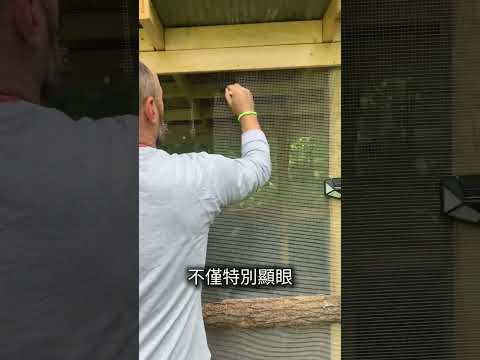 神奇的隱形雞舍圍網