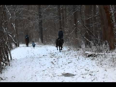 *Candy* Schnee Ausritt