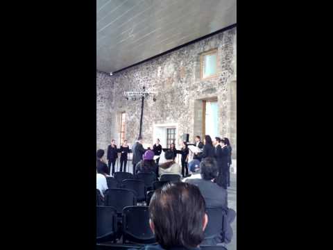 Sleep-Eric Whitacre-Coro de Cámara Juvenil de México