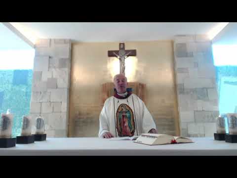 Homilía 12 de Diciembre, P. Angel Espinosa de los Monteros, LC