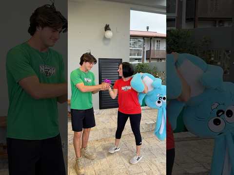 TURMA DA COLMEIA EM…