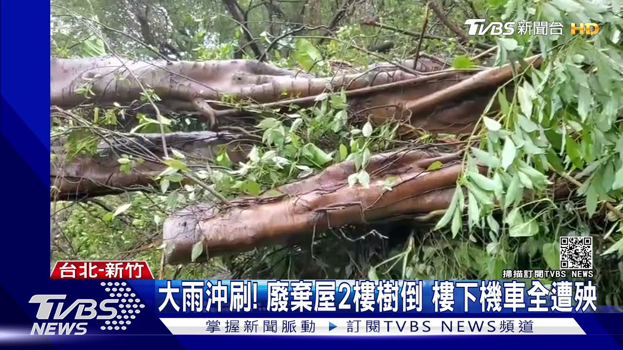 雨下不停!北投淹泥水 樹壓電線千戶停電