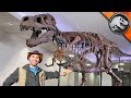 WORLD'S BIGGEST T-REX!