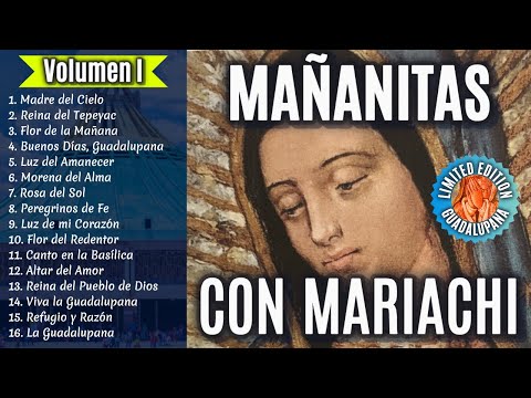 Mañanitas a la Virgen de Guadalupe 🌹 | Mariachi Mexicano al Amanecer en el Tepeyac✨