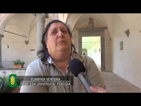 Agritg - Puntata 16^