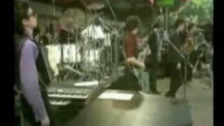 Mink DeVille - Love and Emotion