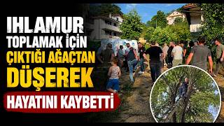 Ihlamur Toplamak İçin Çıktığı Ağaçtan Düşerek Hayatını Kaybetti