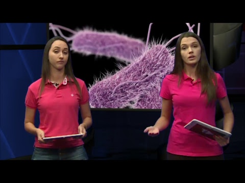 TJ UFSC 06/03/18 - Grupo Escoteiro Desterro