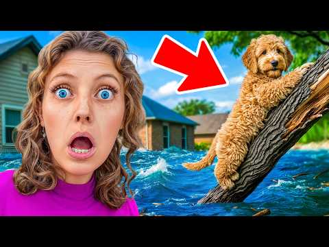 My Puppy Got Lost in a MASSIVE FLOOD!!