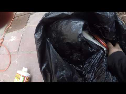 Polar GANG USA is still out here acttin a foooool‼️👀(#polargangusa)