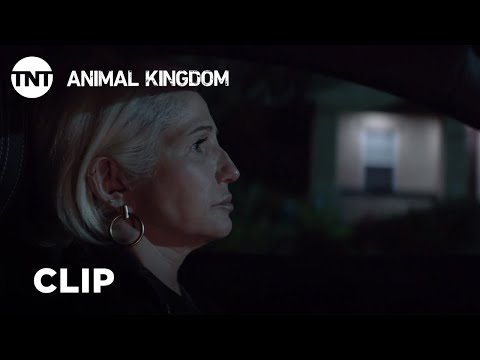 Animal Kingdom: Jackpot - Season 3, Ep. 11 [CLIP] | TNT