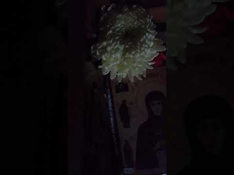 cuvinte de folos pentru suflet.