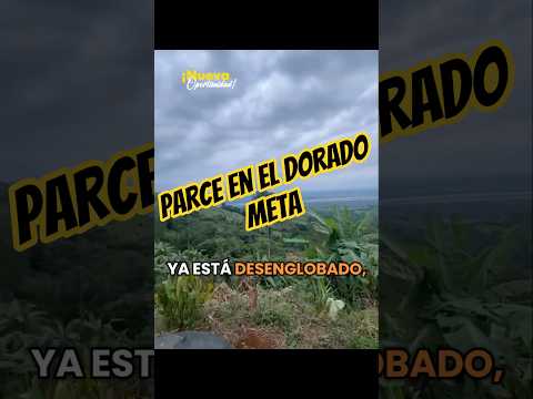 parcela en el dorado meta 4 hectáreas #eldoradometa #fincallanosariari #parcelabarata #realestate