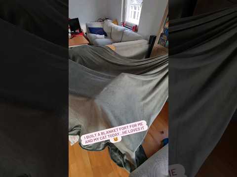 See this as your sign to build a blanket fort ⛺ #catshorts #blanketfort #cozy