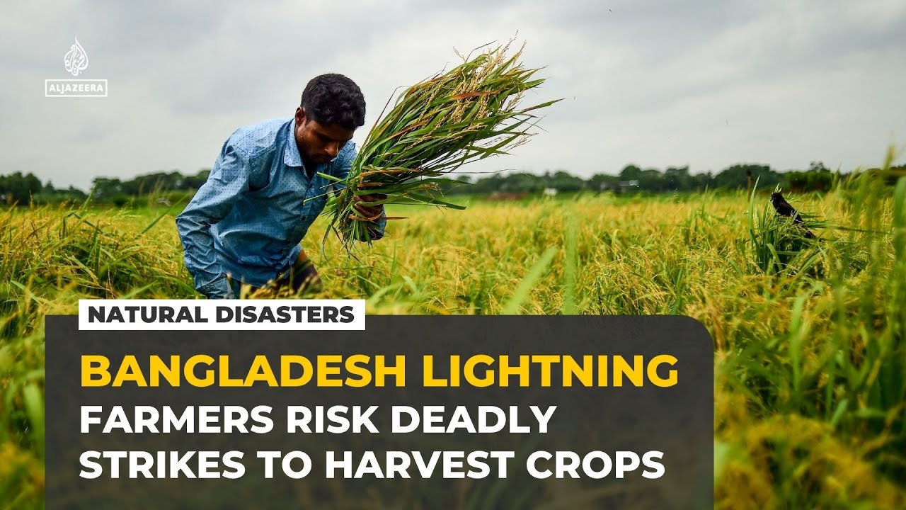 Bangladesh farmers risk deadly lightning strikes as climate change intensifies storms