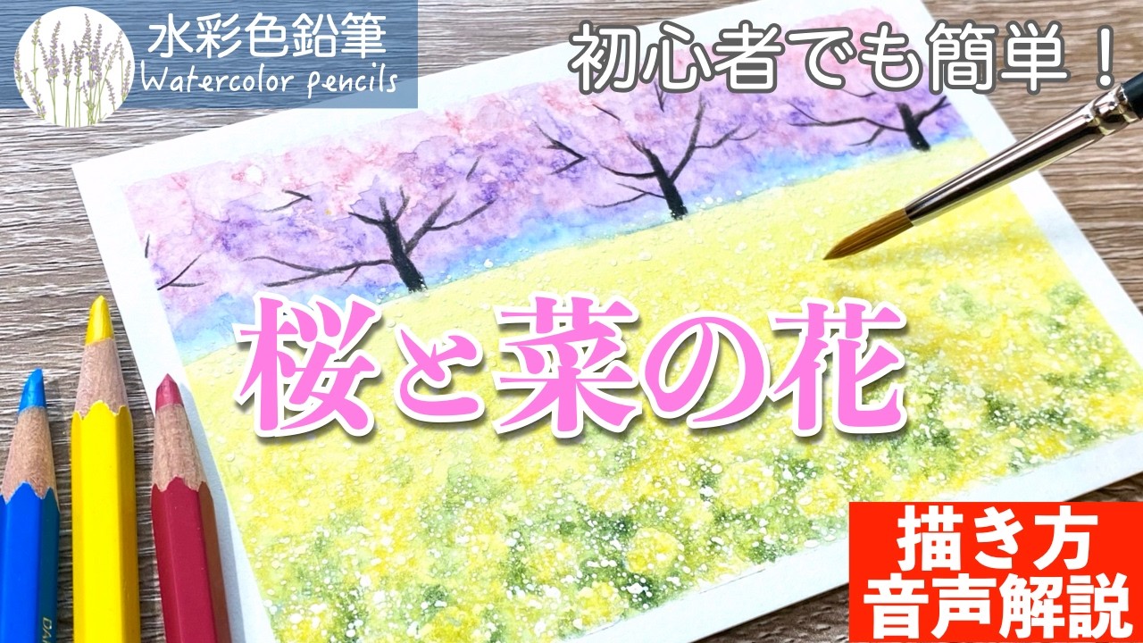 【水彩色鉛筆】桜と菜の花の簡単な描き方 #初心者 #水彩色鉛筆 #水彩 #描き方 #painting #drawing
