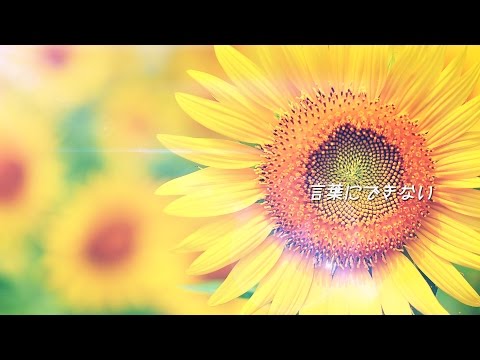 あなたにあえて本当によかったって歌詞の曲はコレ。