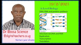DNA, RNA and protein synthesis