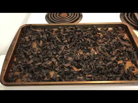 How to make potassium fertilizer from banana peels