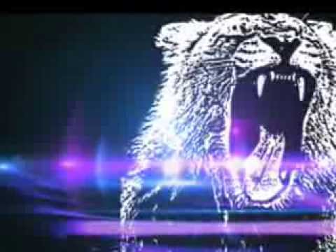 Martin Garrix vs Krewella Animals forever