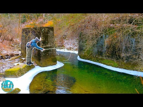 Winter Fly Fishing in BRUTAL Conditions! (Trout Fishing)