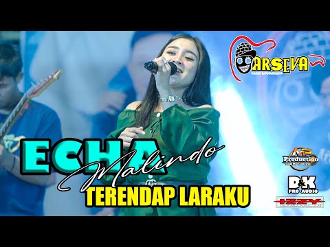 ECHA MALINDO // TERENDAP LARAKU || ARSEVA LIVE MUSIC BALONG PONOROGO - DK PRO AUDIO