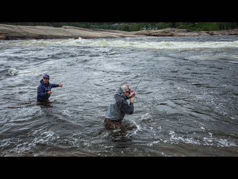 First time salmon fishing in Norway 🇳🇴