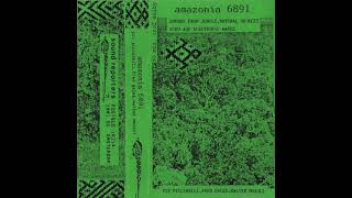 PIT PICCINELLI / FRED GALES / WALTER MAIOLI ‎– Amazonia 6891 (1986)