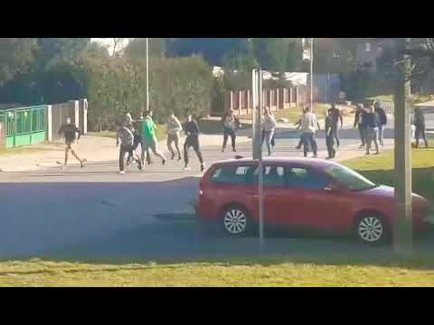 NiebieskieZory v zorska gieksa, wygrana Ruchu