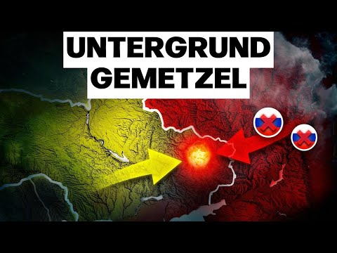 Russland wollte schlau sein – doch die Ukraine hat sie einfach bloßgestellt